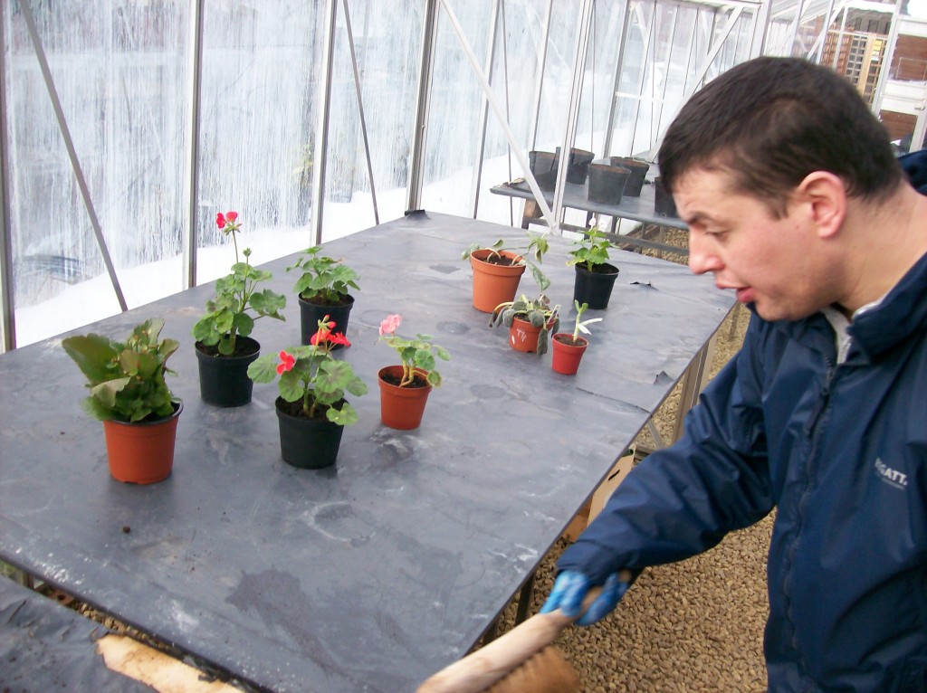 Matthew in potting shed