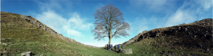 Lesson at Sycamore Gap